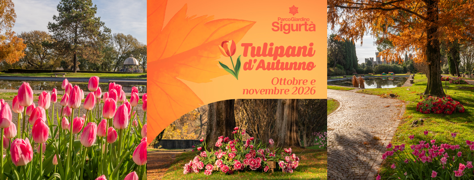 Tulipani d'autunno